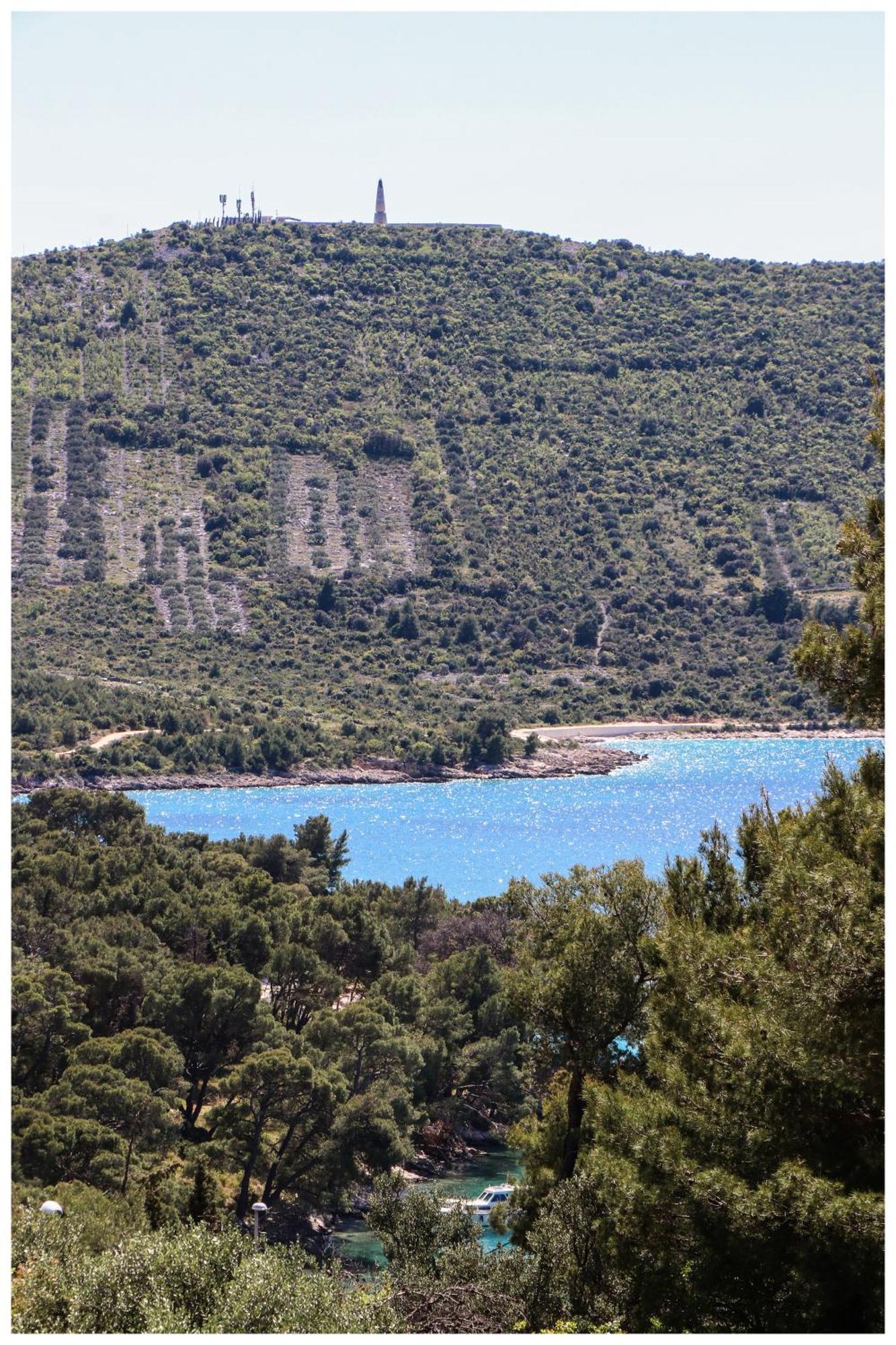 Apartament M&z *