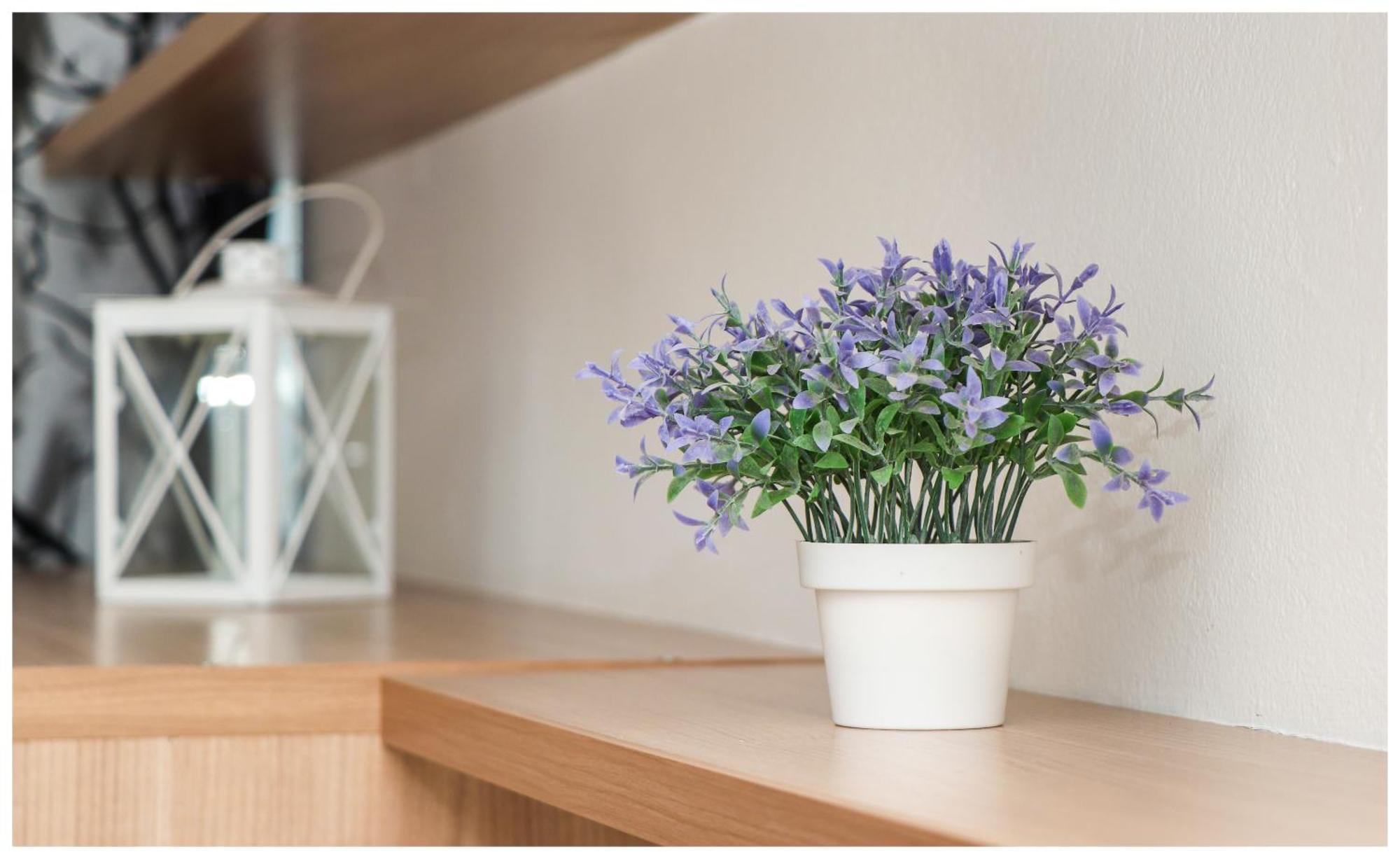 Appartement M&z *